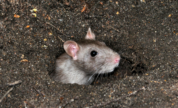 ͚ͪ`һѪ?d)?></div>
            <div   id=